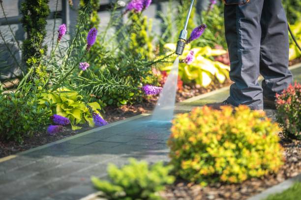 Best Patio and Deck Pressure Washing  in Chesilhurst, NJ